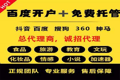 SEM投放策略优化案例分析